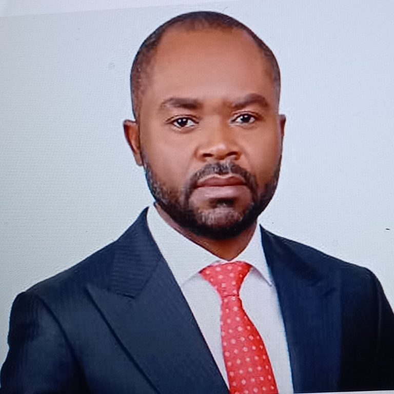 Vincent Ugochukwu - MD/CEO - Eaglenet Logistic services